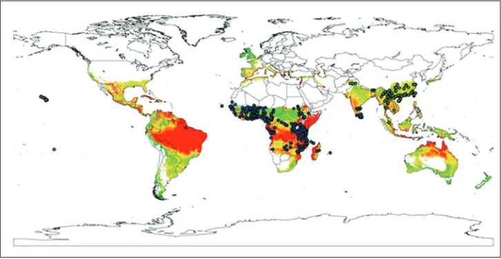 Figure 3. GPFS model prediction of potential global population index of oriental fruit fly, Bactrocera dorsalis (including observations of B
