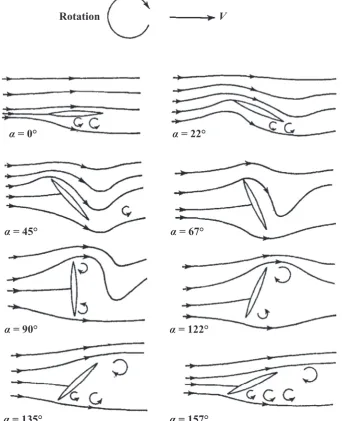 Fig. 3. Schematic flow pattern over autorotating wing at Rerotation rate in Hz. (¼90 000 and non-dimensionalised wing rotation rate, S ¼ ðnL=UwÞ ¼ 0:35, where n is theSmith, 1971).