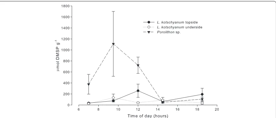 Figure 4 Diurnal intracellular DMSP concentrations in( Lithophyllum kotschyanum and Porolithon sp
