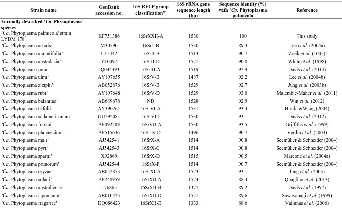 Table 1.  ‘Candidatus Phytoplasma’ species reference strains and their 16S rRNA gene RFLP group/subgroup classifications
