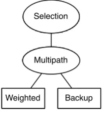 Figure 4.9: Typical module options for multipath routing protocols