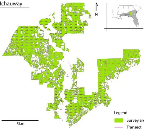 Figure 2: Ichauway location and illustration of the systematic survey design for line transect sampling