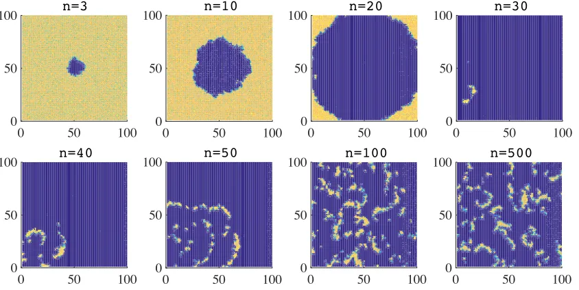 Figure 1: Plots summarising the time-evolution of the spatial distribution of doves, in the absence ofsemiochemical secretion (i.e., when ν = 0) and with synchronous generations