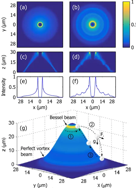 Fig. 1. Spatial proﬁle of a perfect vortex beam propagatingTopography of the measured beam around thealong the z axis with ℓ = 15 compared with numerical sim-ulations