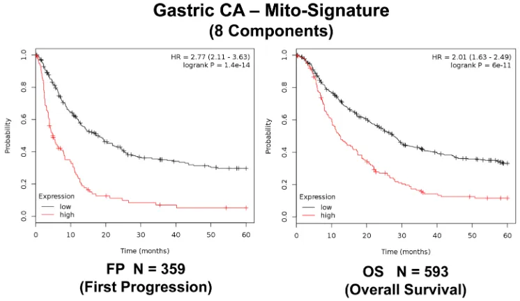 Figure 8: A short mitochondrial signature predicts tumor progression and overall survival in gastric cancer patients