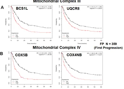 Table 6: Compact gastric CA mito-signature for predicting clinical outcome