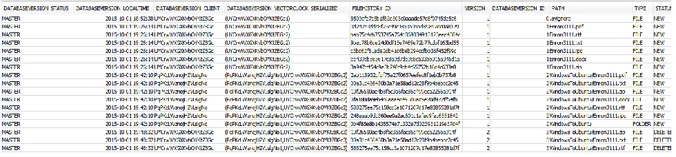 Fig. 2. Portion of the ‘FILEVERSION_FULL’ table recovered in our research. 