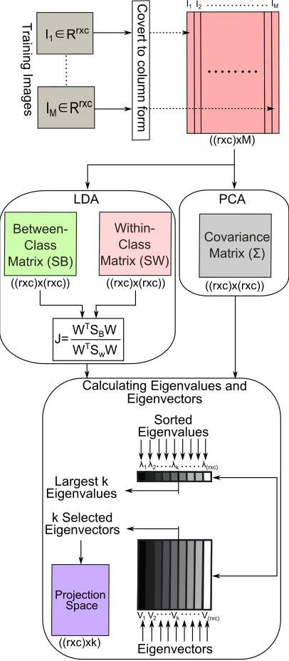 Figure 2: Visualized steps to calculate a projection space of one-dimensional PCA and LDA(1DPCA and 1DLDA) methods.