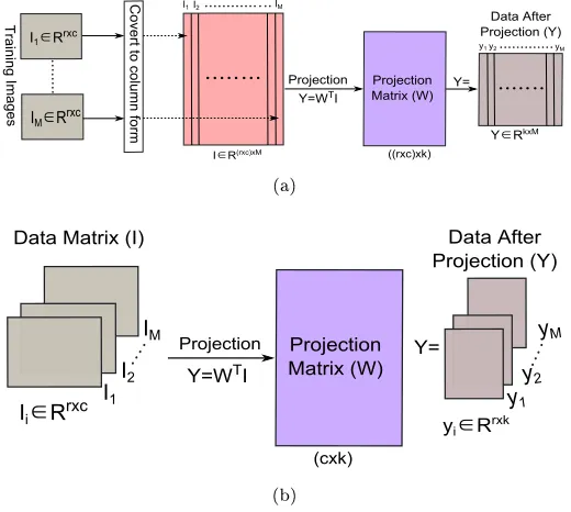 Figure 3: A visualization of the projection of one-dimensional and two-dimensional methods;