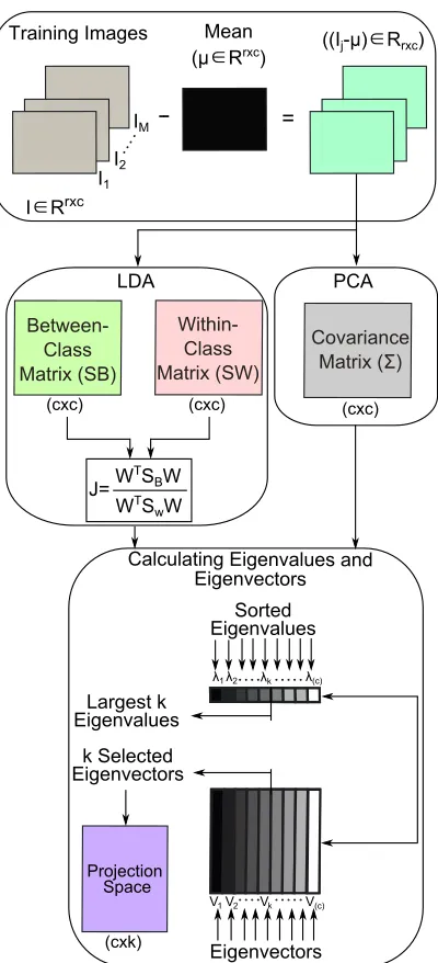 Figure 4: Visualized steps to calculate a projection space of two-dimensional PCA and LDA(2DPCA and 2DLDA) methods.