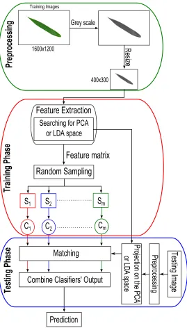 Figure 5: Plant identication system using leaves' images