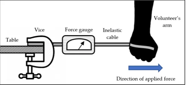 Figure 1. Sliding release mechanism: (a) Locked; (b) Intermediate Release; (c) Complete Release