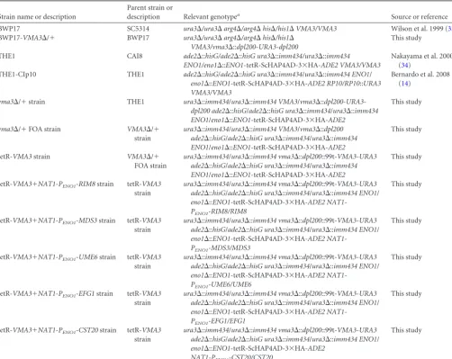TABLE 1 C. albicans strains used in this study