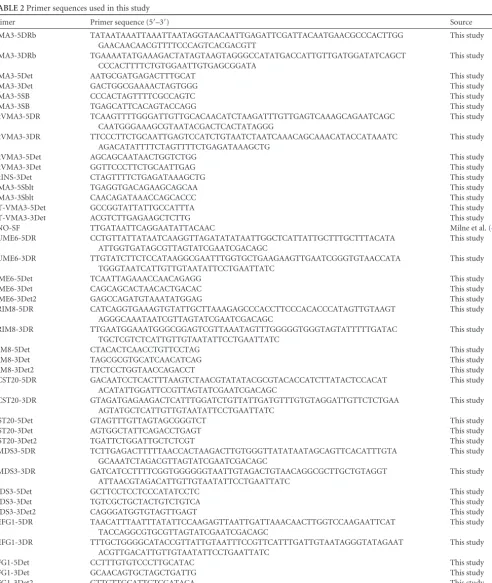 TABLE 2 Primer sequences used in this study