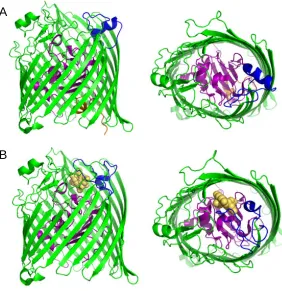 Figure 1.3.3.1 Crystal structure of (A) FecA (PDB 1KMP) and (B) FecA in complex with