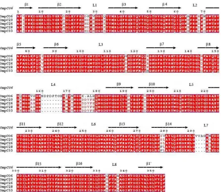 Figure 2.1.4.2 Sequence Alignment of OmpC from clinical isolates stated in Low et al