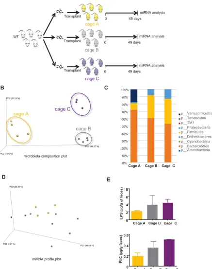 Figure 2 (R2= 0.5493; p= 0.0024). As shown in Figure 5B, a regression analysis identified correlation between the variable, PC1, and the histological scores  