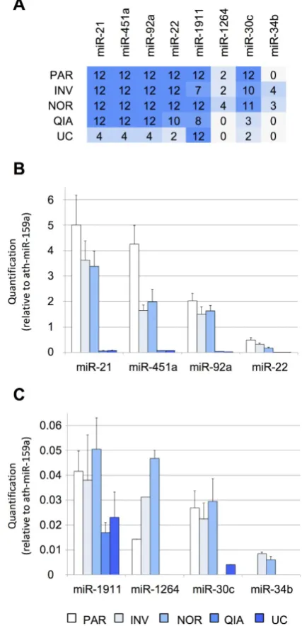 Figure 2. Performance of different protocols measured using RT-qPCR. miRNAs were detected