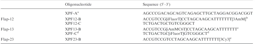 Table 1. Oligonucleotides used for DNA substrates