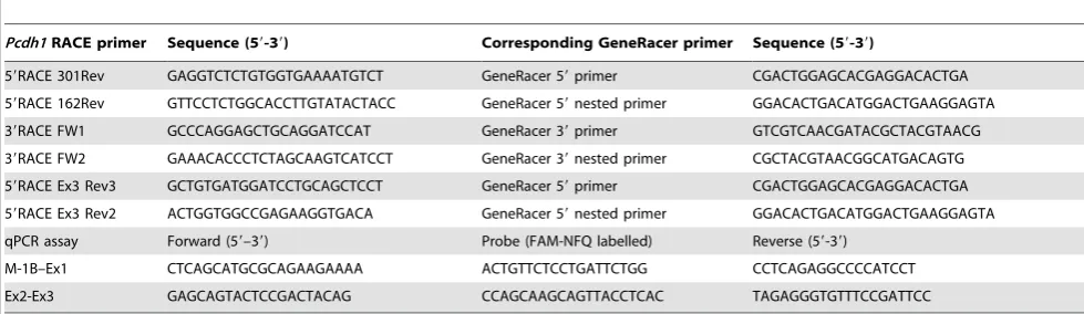 Table 1. Pcdh1 RACE and qPCR primer sequences.
