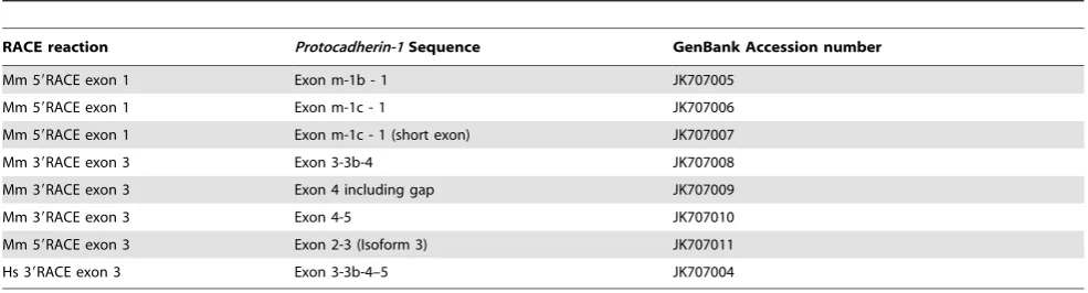 Table 2. Genbank accession numbers of novel Pcdh1 transcripts.