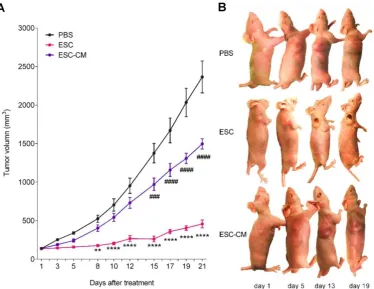 Figure 6. The ESCMe inhibited tumor growth in xenograft mice models. (A) Volumes of tumors treated with PBS, ESCs, and ESC-CM, respectively, per treatment group)
