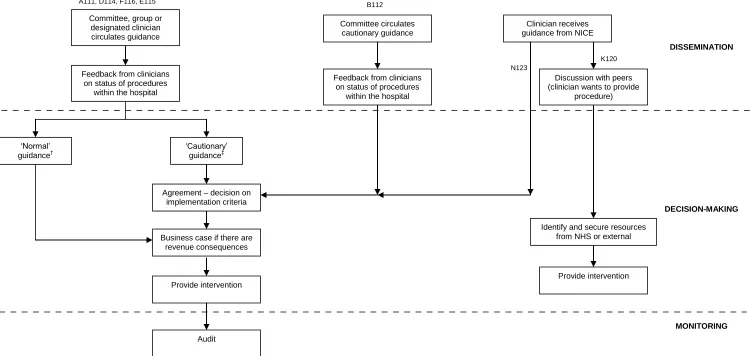 Figure 1 Patterns of the management of interventional procedures guidance in provider organisations  
