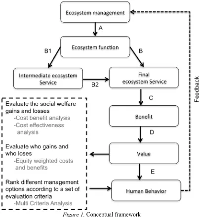 Figure 1. Conceptual framework 