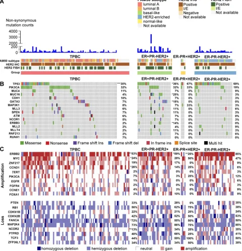 Figure 2. The genomic landscape of HER2-positive breast cancers from the TCGA dataset according to ER and PR status