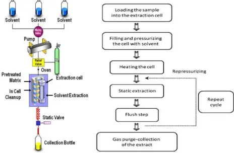 Figure 1. Different stages of a DIC cycle. 