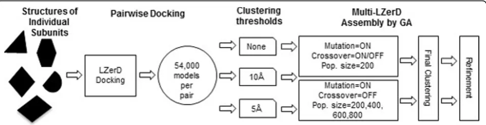 Figure 1 Overview of Multi-LZerD and this experiment. Multi-LZerD builds a protein complex by assembling pairwise docking predictionscomputed by LZerD