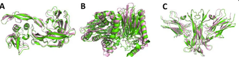 Figure 2 Best models obtained for each test case. The best model from all the experiments is shown for each of the three complexes