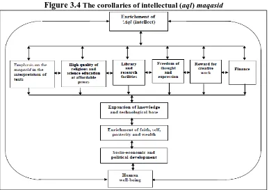Figure 3.4 The corollaries of intellectual (aql) maqasid 