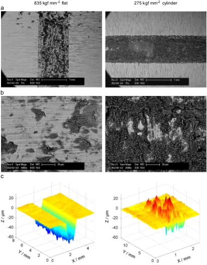 Fig. 8. Characterisation of surface damage on both specimens following fretting at 50 Hz of a hard (835 kgf mm�2) ﬂat versus a soft (275 kgf mm�2) cylinder; (a) lowmagniﬁcation BSE micrographs; (b) high magniﬁcation BSE micrographs (the higher magniﬁcation images are taken from regions close to the centreline of the contact); and(c) surface topographies of the wear scars.