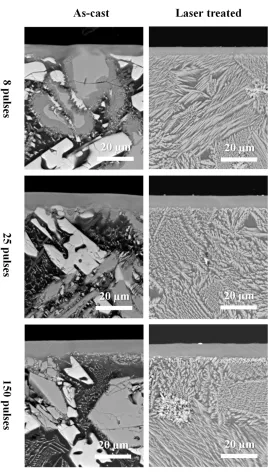 Figure 7 Cross sectional morphology (back scattered electron SEM images) of electron beam treated samples with 