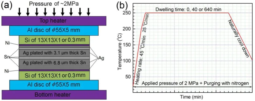 Fig. 3. SEM images taken from the polished cross sections of 100 m thick Ag foil 
