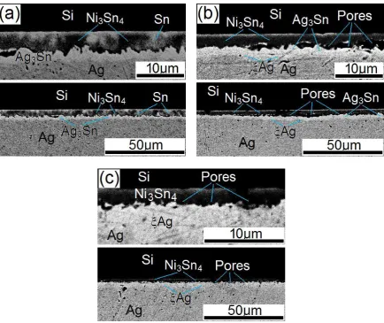 Fig. 5. SEM images taken from the polished cross sections of the samples of real Si IGBTs 