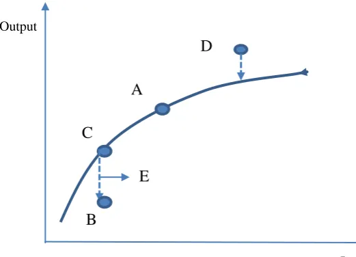 Figure 2.5 illustrates the stochastic production frontier case using a simple production 