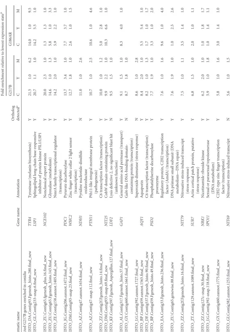 TABLE 2 Selected strain-speciﬁc differentially expressed transcripts of strains G186AR and G217B