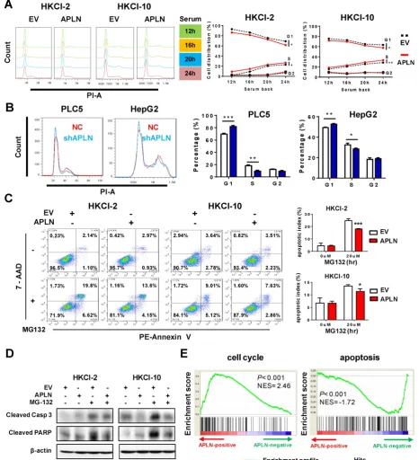Figure 4. APLN accelerates cell cycle progression and inhibits apoptosis. (A) Up-regulation of APLN accelerated G1 to S phase cell cycle transition