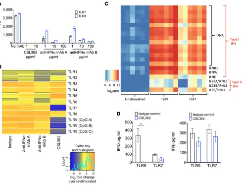 Figure 4. CSL362 more effectively inhibits TLR7- and TLR9-stimulated IFN production and IFN-upregulated gene expression compared with type I IFN blockade