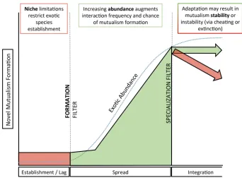 Figure 1. Conceptual figure of the formation and stability of novel mutualisms by niche and neutral processes at different stages of invasion