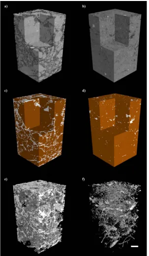 Figure 5 | Non-destructive 3-D imaging of soil by X-ray CT. Examples of Tilled (A–C) and Zero Tilled (D–F) soils