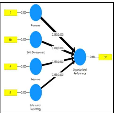Figure 5.1.  Path, strength and significance of the path coefficients assessed by PLS (n=100) 
