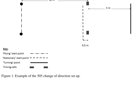 Figure 1. Example of the 505 change of direction set up. 