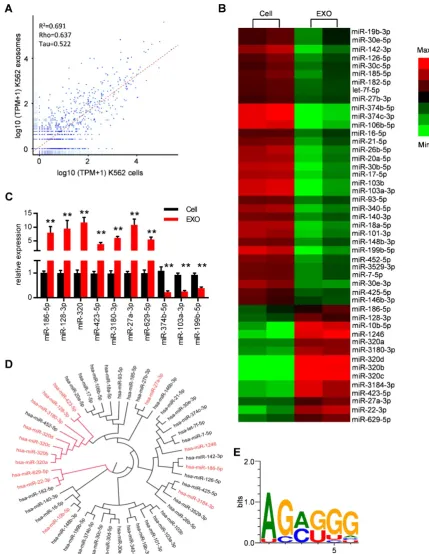 Figure 4. Specific repertoires of miRNAs are sorted into leukemia exosomes. (A) Deep sequence data visualization by scatter plot comparing miRNAs in K562 cells and derived exosomes