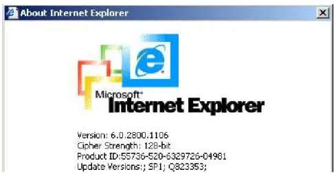 Figure 4-1    The Internet Explorer displaying the encryption key length    Newer web browsers generally support strong encryption on default