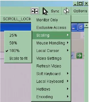 Figure 4-4    Remote Console Exclusive Mode 