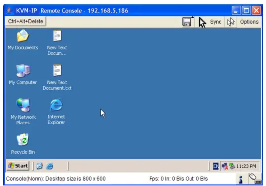 Figure 5-1  KVM Console 