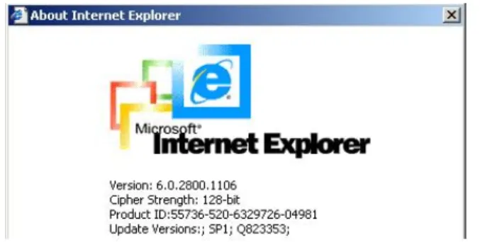 Figure 5-1. The Internet Explorer displaying the encryption key length    Newer web browsers generally support strong encryption on default